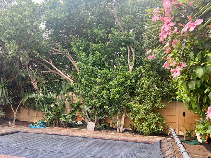 image_0008_IMG-20250414-WA0097